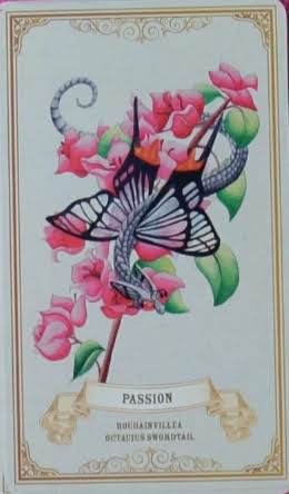 Enchanted Blossoms Empowerment Oracle